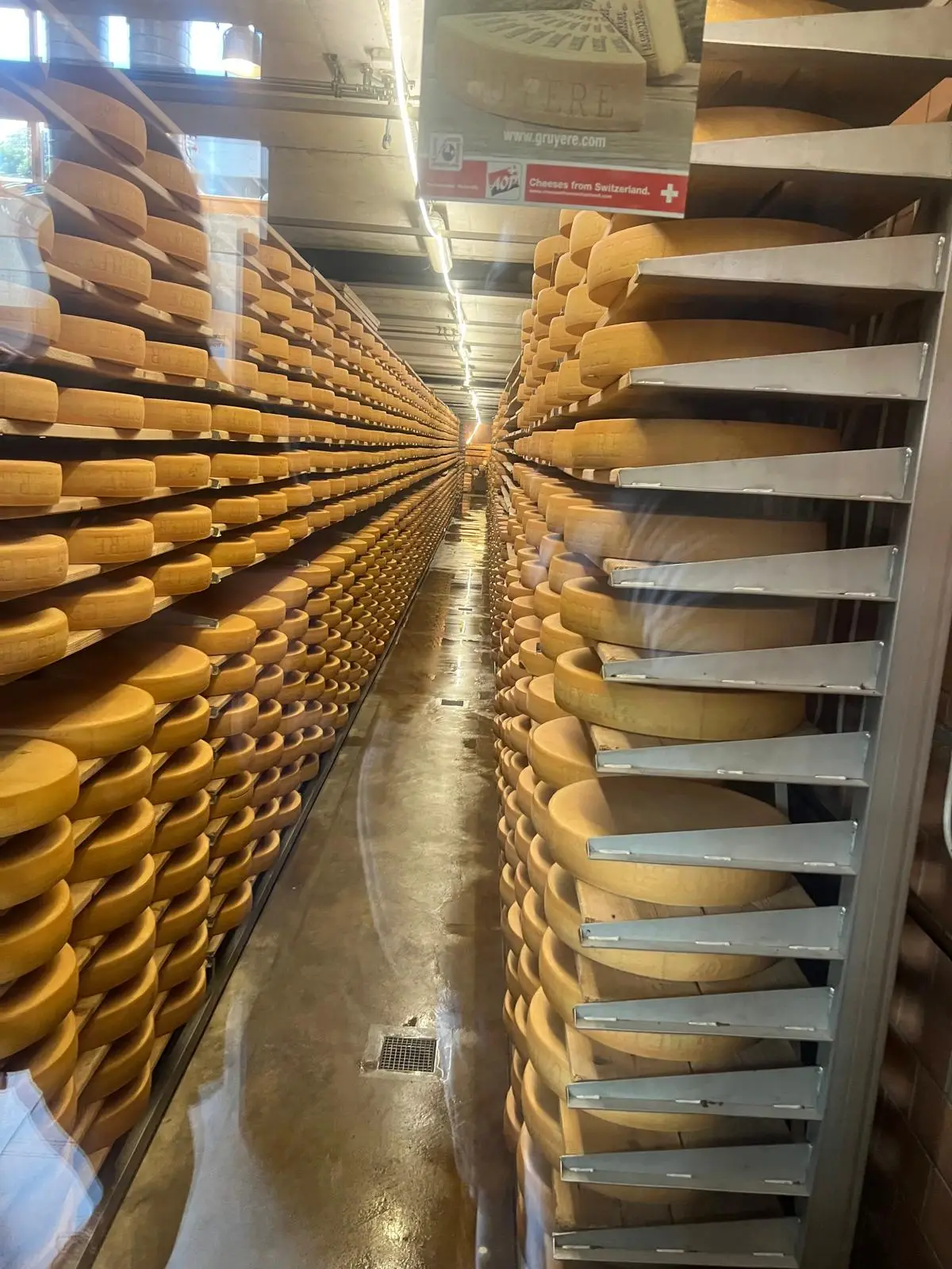 WhatsApp Image 2025-08-05 at 17.17.02