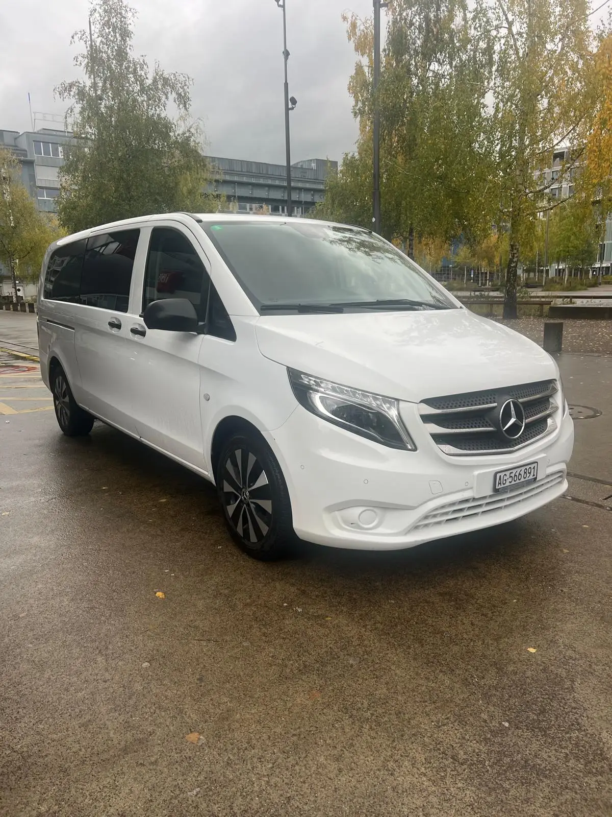 WhatsApp Image 2025-08-05 at 17.22.08 (4)