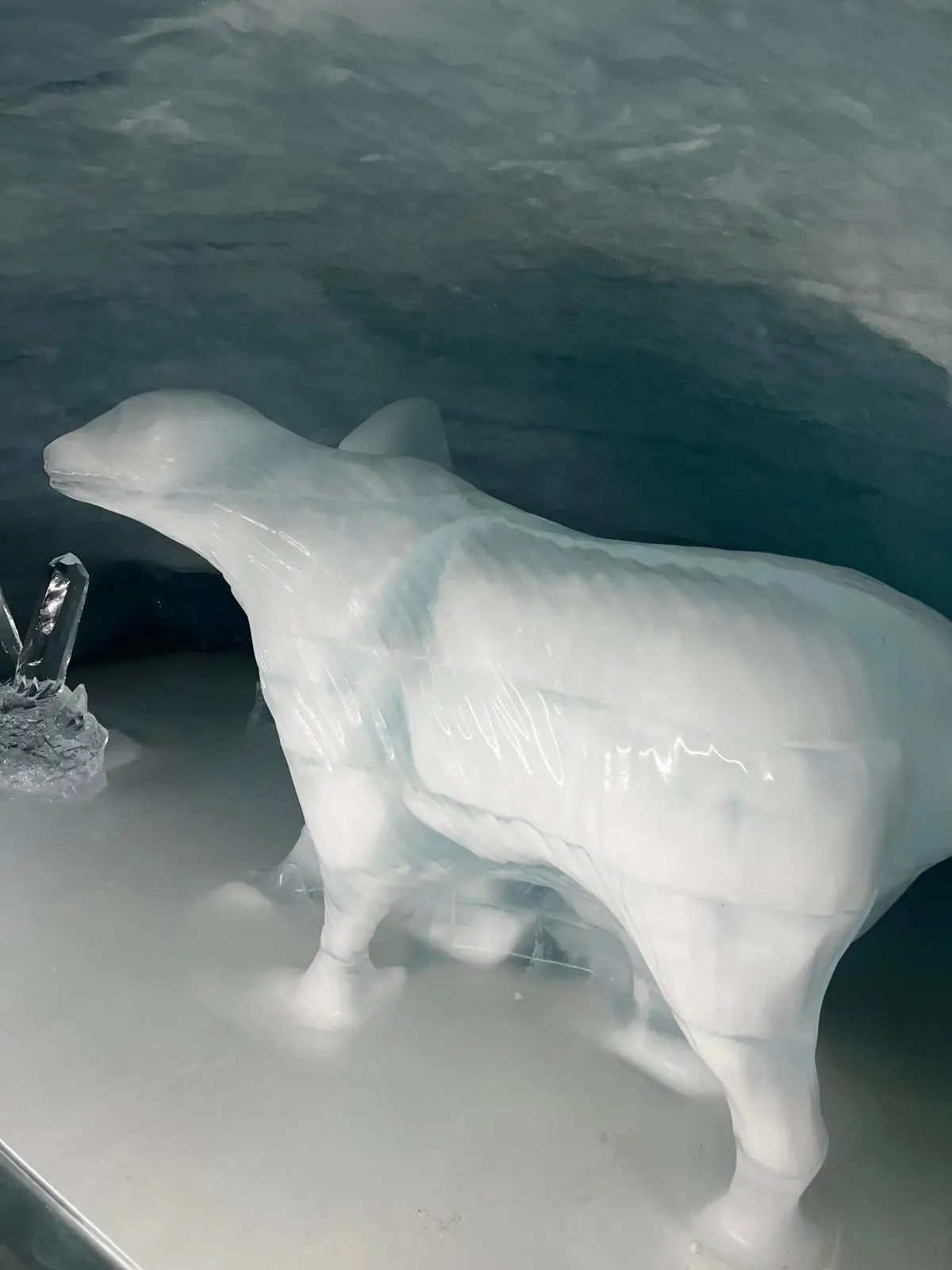 WhatsApp Image 2025-08-05 at 17.22.09 (2)