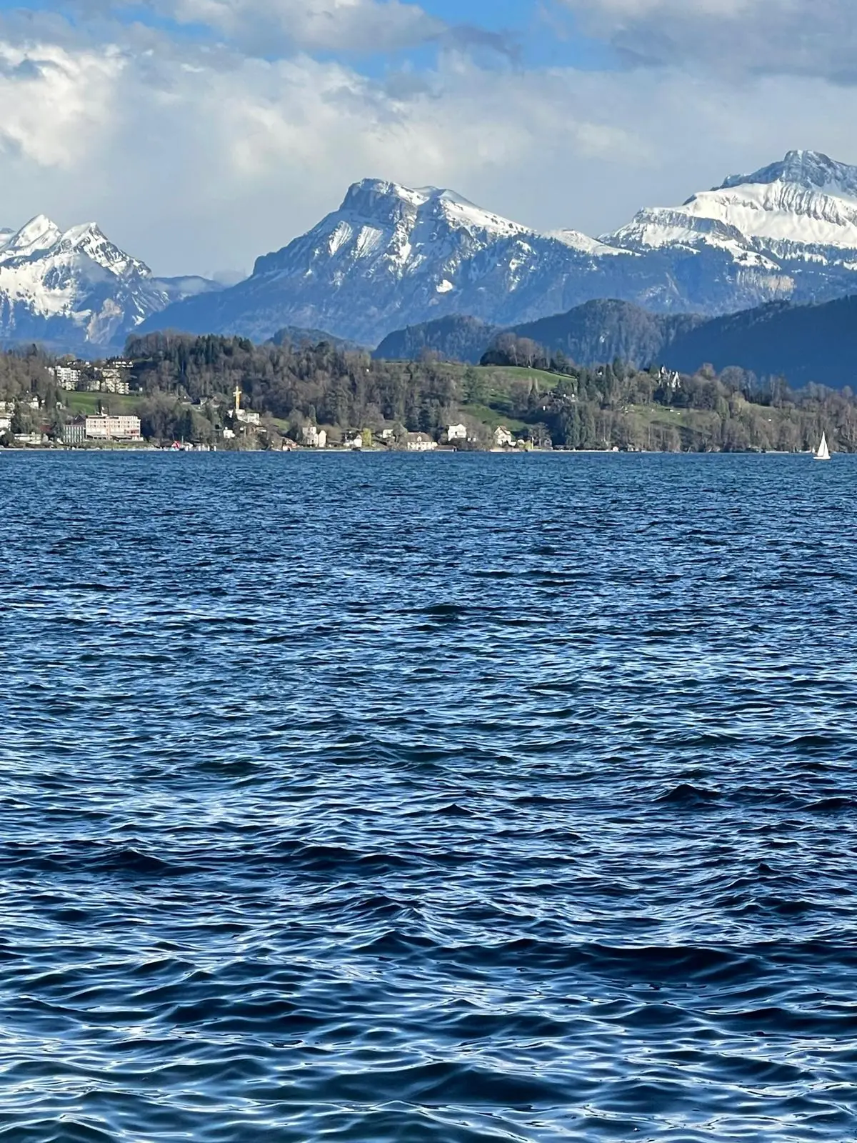 WhatsApp Image 2025-08-05 at 17.22.10 (1)